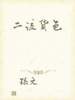 二流货色封面