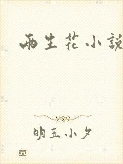 两生花小说