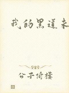 我的黑道未婚夫