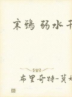 寒鸦 弱水千流封面