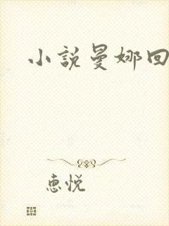 小说曼娜回忆录封面