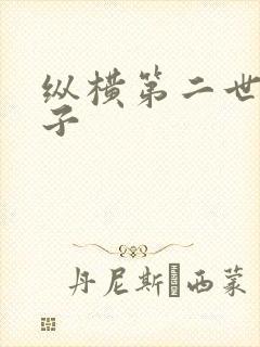 纵横第二世界宽子