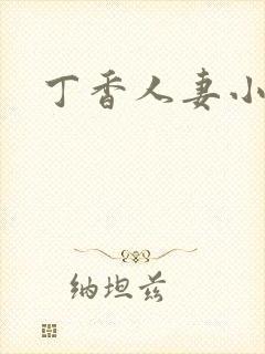 丁香人妻小说封面