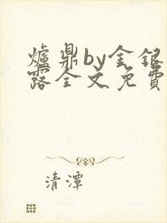 炉鼎by金银花露全文免费阅读笔趣阁