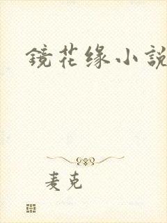镜花缘小说