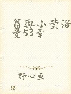 翁与小莹浴室欢爱53章