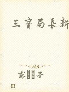 三宝局长新编封面