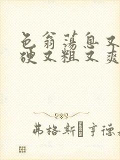 色翁荡息又大又硬又粗又爽