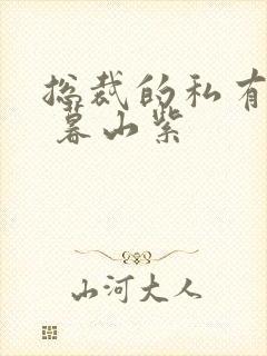 总裁的私有宝贝 暮山紫