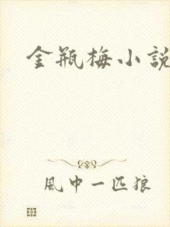 金瓶梅小说在线