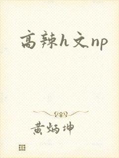 高辣h文np