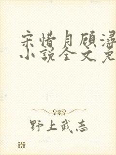 宋惜月顾浔渊的小说全文免费阅读