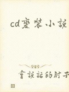 cd变装小说封面