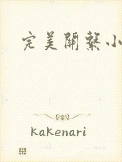 完美关系小说封面