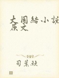 大团结小说阅读原文