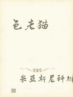 色老猫封面