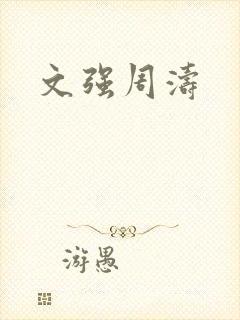 文强周涛