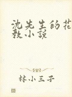 沈先生的花式调教小说封面