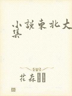 小说东北大炕全集