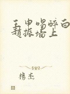 王申喝醉白洁被赵振墙上封面