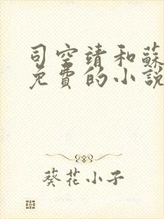 司空靖和苏月汐免费的小说笔趣阁封面