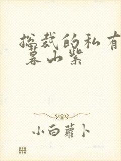 总裁的私有宝贝 暮山紫