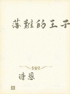 落难的王子封面