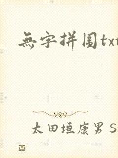 无字拼图txt封面