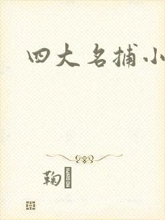 四大名捕小说