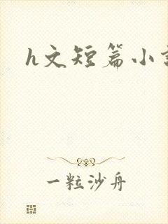 h文短篇小说封面