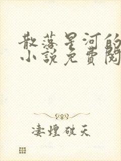 散落星河的记忆小说免费阅读全文封面