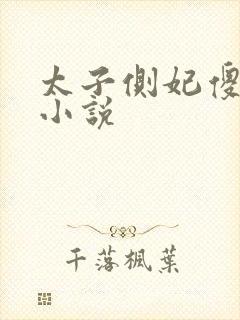 太子侧妃傻乎乎小说