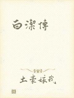 白洁传