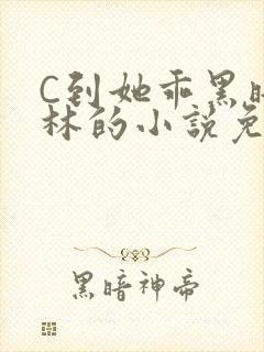 C到她乖黑暗森林的小说免费