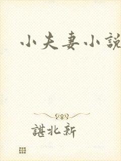 小夫妻小说