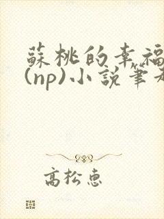 苏桃的幸福生活(np)小说笔趣阁沐沐