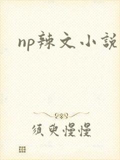 np辣文小说封面