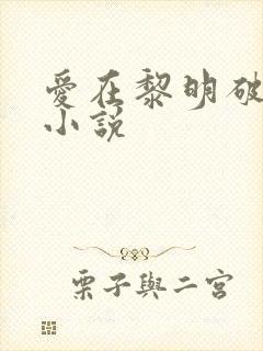 爱在黎明破晓前小说