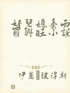 好儿媳秦雨罗明罗兴旺小说