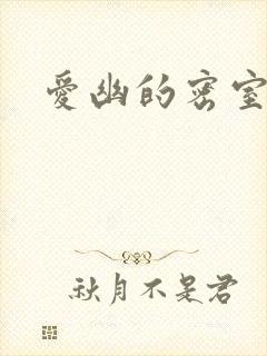 爱幽的密室小说