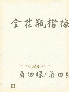 金花瓶楷梅花5封面
