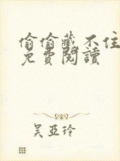 偷偷藏不住小说免费阅读