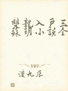 双龙入户三人行苏玥小说全文阅读封面