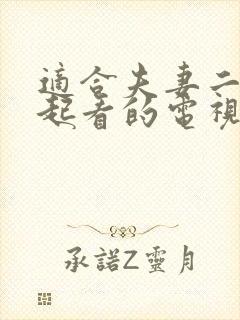 适合夫妻二人一起看的电视剧