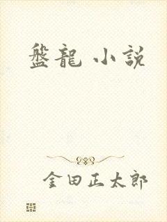 盘龙 小说