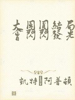 大团圆结局亲情会闪闪发光封面