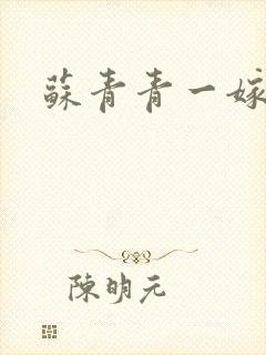 苏青青一嫁三夫封面