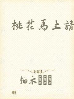 桃花马上请长缨封面