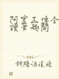 阿宾正传全文阅读笔趣阁