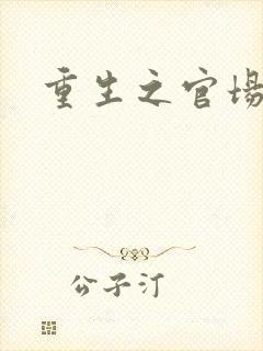 重生之官场风流